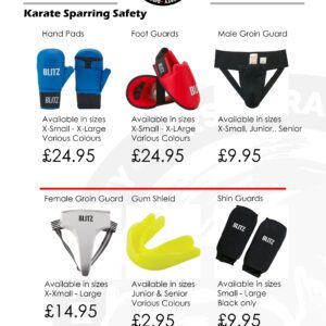 Karate Sparring Equipment copy