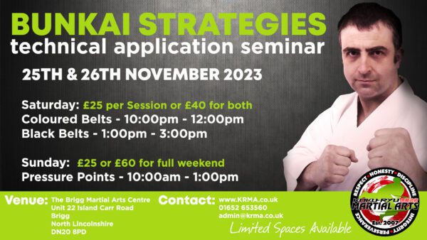 Bunkai Strategies Seminar 2023